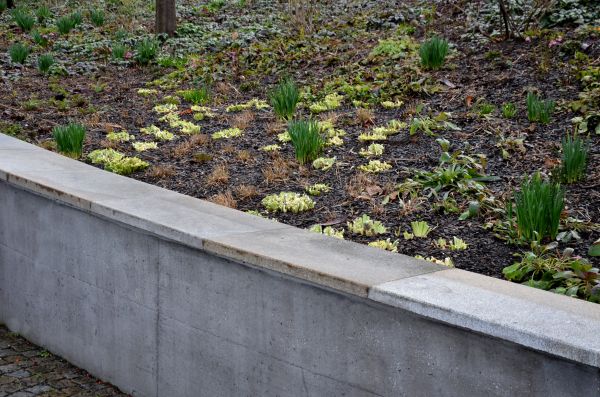 Concrete Wall Construction in Lynnwood