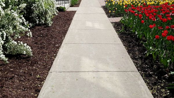 Cement Sidewalk Installation in Lynnwood