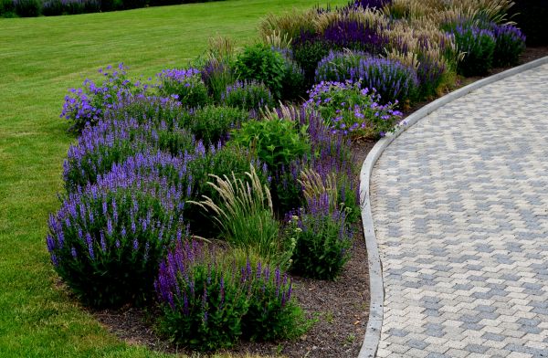 Sidewalk Curb Installation in Lynnwood