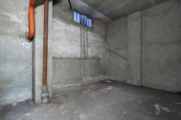 Basement Wall Construction in Lynnwood