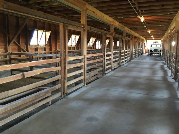 Barn Floor Pouring in Lynnwood