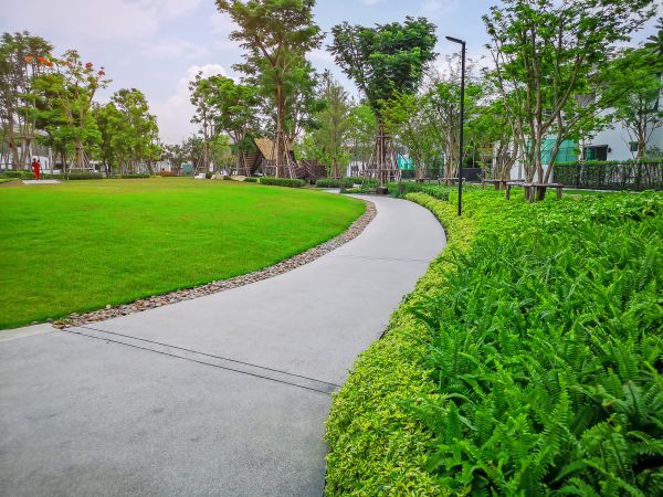 Cement Walkway Service in Lynnwood