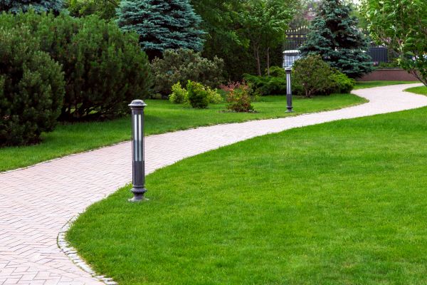 Backyard Sidewalk Installation in Lynnwood
